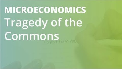 Tragedy of the Commons | Microeconomics