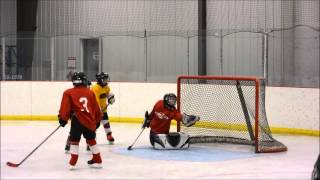 Luke's Hockey by Wilfor36 39,132 views 8 years ago 2 minutes, 9 seconds