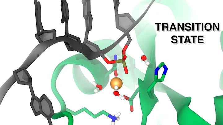 Principles of target DNA cleavage in CRISPR–Cas9