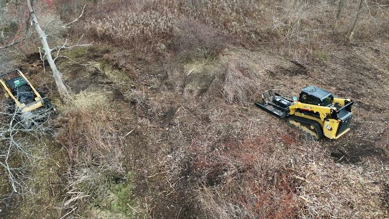 Forestry Mulching Land Clearing in Dorset VT. Cat's 265 & 289D3 Working Together