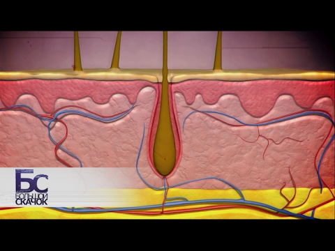 Видео: Разница между внутренними и внешними клетками волос