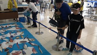 こどもの日フェスティバル〜徳島県文化の森総合公園