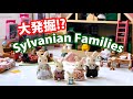 大発掘！？『ちょっと昔のシルバニアファミリーで遊んで見ました！！』- Sylvanian Families doll house -