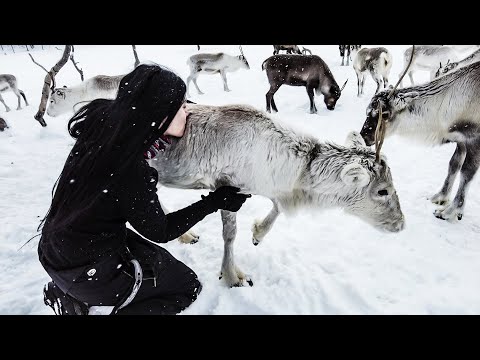 WHAT THE SAMI PEOPLE TAUGHT ME ABOUT HAPPINESS