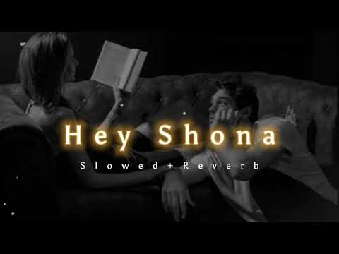 Hey Shona Slowed Reverb Ta Ra Rum Pum Shaan Sunidhi Chauhan Breath