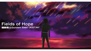 【MUSIC】 Fields of Hope  田中理惠  機動戰士Gundam Seed DESTINY  中日字幕