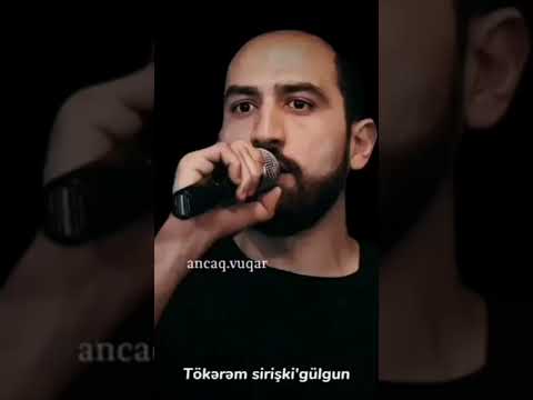 Vüqar Biləcəri - Gəzim dalınca