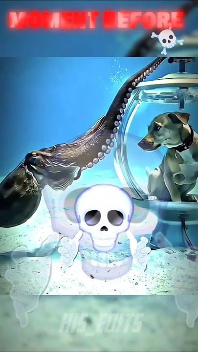 Trollface skull edit ☠️ | Kiss edits | trending trollface shorts #trollface #trollfaceedit #troll