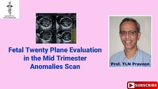 Fetal Twenty Plane Evaluation in the Mid trimester Anomalies Scan
