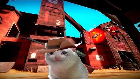 tf2 cat bot hackers
