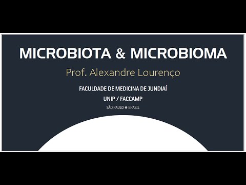 Vídeo: Potencial De Uma Microbiota Intestinal Com Mosca Incorporada Dieta Larval à Base De Gel Para A Criação De Bactrocera Dorsalis (Hendel)