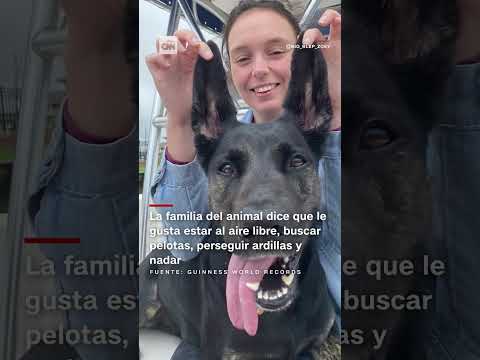 Zoey es la