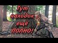 Накопала кучу находок на выбитом месте!