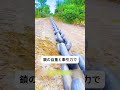 鎖1本で森全体を平らにすることができます#科学普及