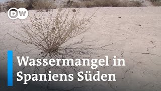 Wie Südspaniens Costa del Sol mit Dürre und Wassermangel umgehen muss | DW Deutsch