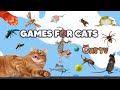 Action Cat TV 🎮 Fast Hunting Challenge for Cats in 4K UHD