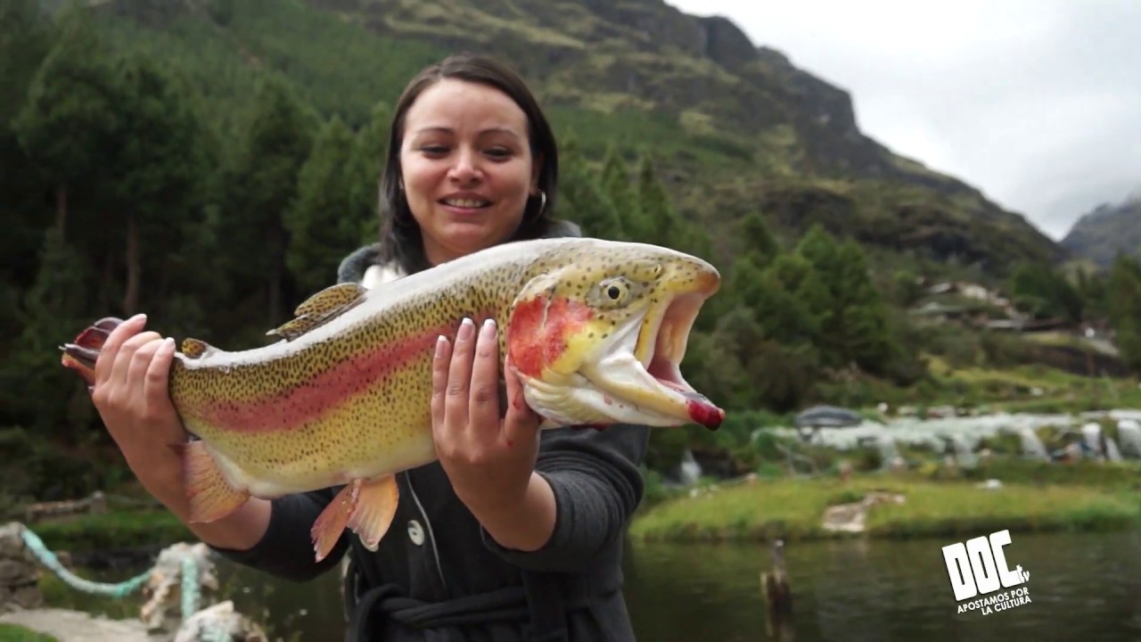 Pesca Deportiva Hostería Dos Chorreras I Doctv Ecuador