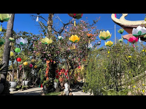 Firecracker for dad at Oak Hills Memorial Park - February 7, 2025