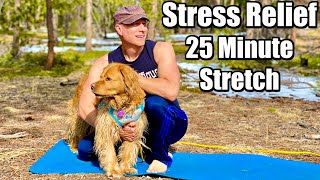 25 min Morning Yoga Stretch for Stress Relief & Flexibility (FULL BODY) Sean Vigue