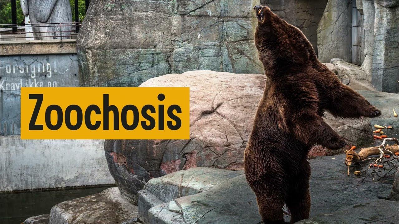 Zoochosis World Mental Health Day 2022 YouTube