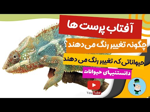 تصویری: آیا طلای زرد تغییر رنگ می دهد؟