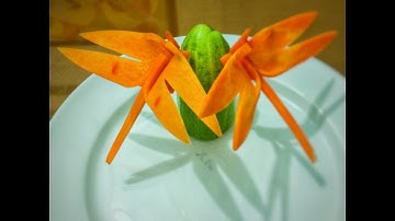 Hướng dẫn tỉa con chuồn chuồn từ cà rốt - Cú Đêm