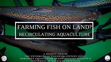 Farming Fish on Land? Recirculating Aquaculture