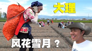 风花雪月的大理她們负重前行走入大理的乡村田野老百姓过怎样的生活Discover the Real Life of Rural Dali in China Yunnan Province 4K