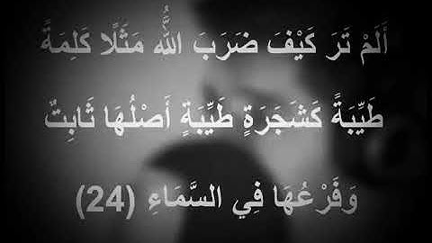 تلاوة جميله للقارئ مشاري البغلي