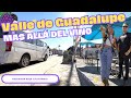Video de Valle de Guadalupe