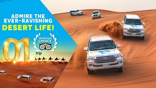 Dubai: Premium Red Dunes \& Camel Safari with BBQ at Al Khayma Camp | OceanAirTravels