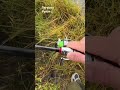 Красивая по клевка на лягушку #атбасар #fishing #рыбалка #налягушку #youtubeрыбалка #спиннинг