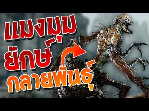 evolve stage 2 ไทย  New Update  เเมงมุมโหด โคตรพันธ์ุดุ! | [EVOLVED:Stage 2] Gorgon