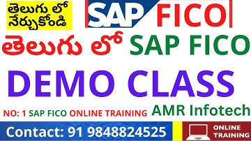 తెలుగులో SAP FICO / S4 HANA డెమో- SAP FICO DEMO CLASS IN TELUGU - SAP FICO/S4HANA Introduction