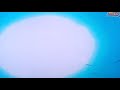 حماة الابطال الحلقة الأخيرة حماة الابطال الحلقة الأخيرة