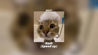 Sinan Akçıl - Kedi (Speed up) Resimi