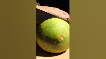 Satisfying Grapefruit Cutting ASMR #asmr