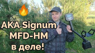 Поиск монет с новым АКА Signum MFD-HM.