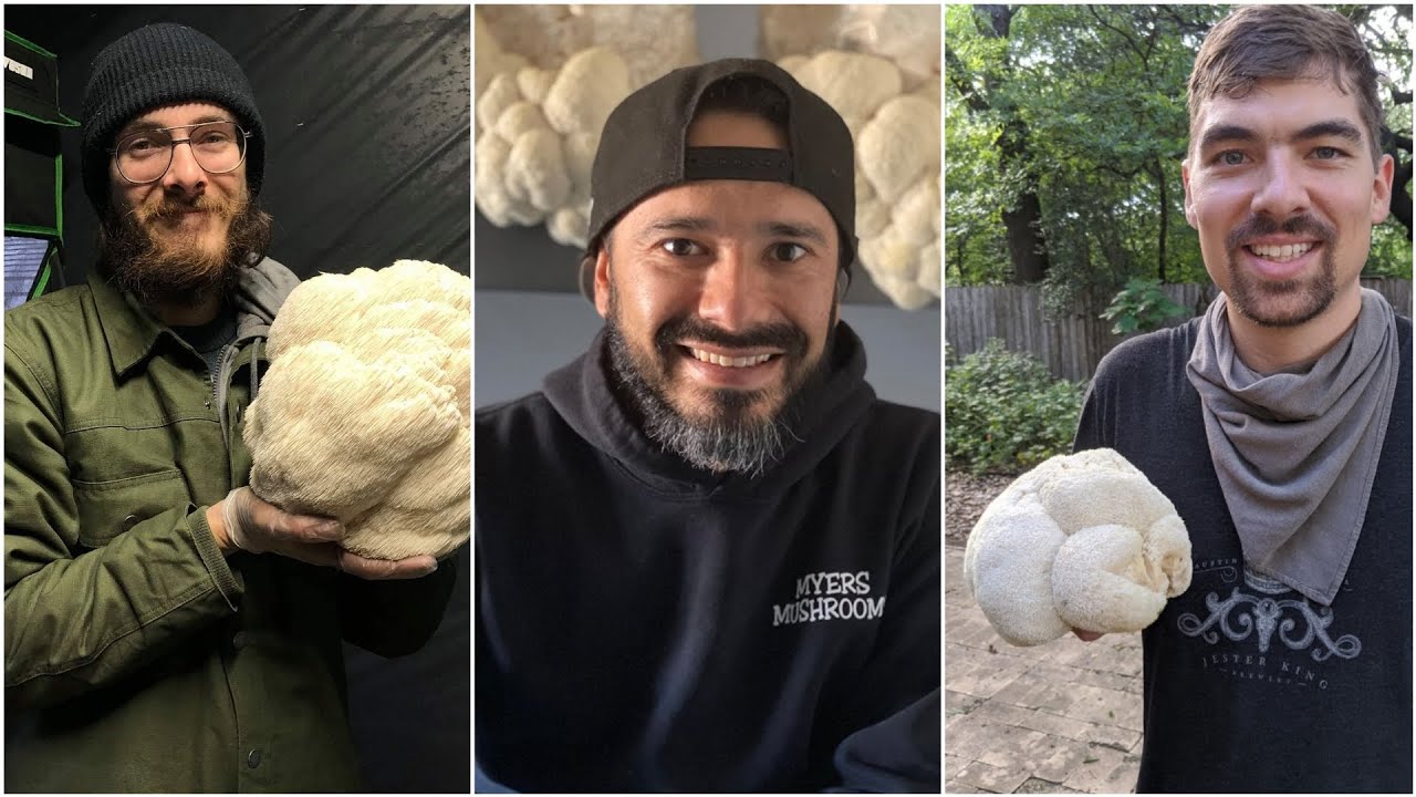 Mushroom Cultivation for Beginners!