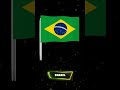 BRAZIL National Flag