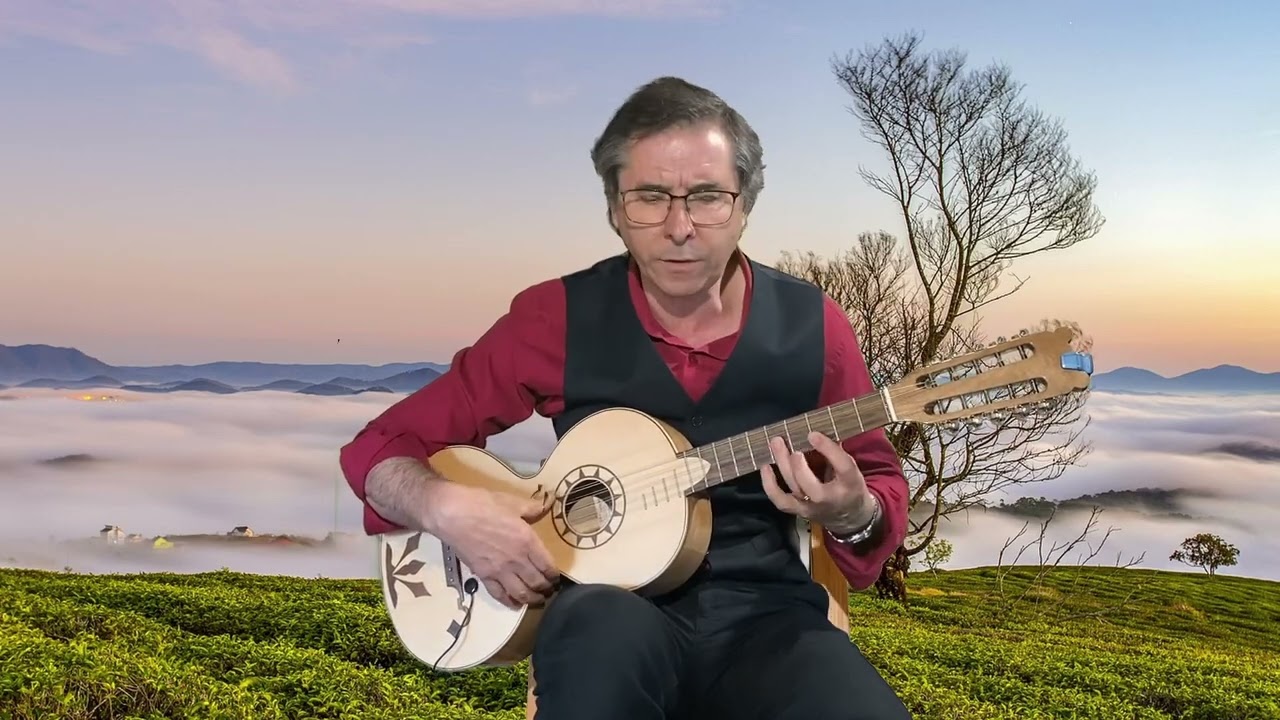 Fui ver-te estavas lavando