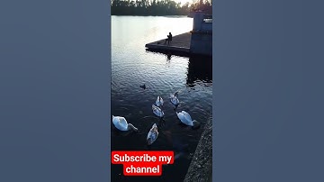 Brest city belarus🇧🇾