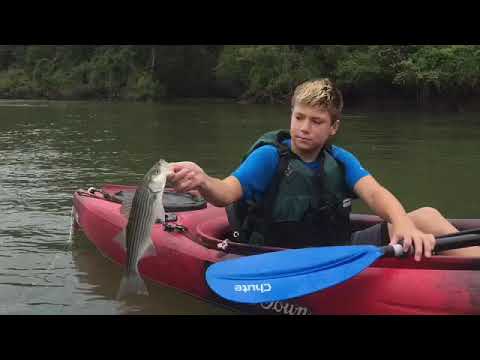 Floating and Fishing the Lower Illinois River, OK Sep 2, 2017 - YouTube