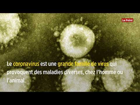 qu'est-ce-que-le-coronavirus-covid-19-?