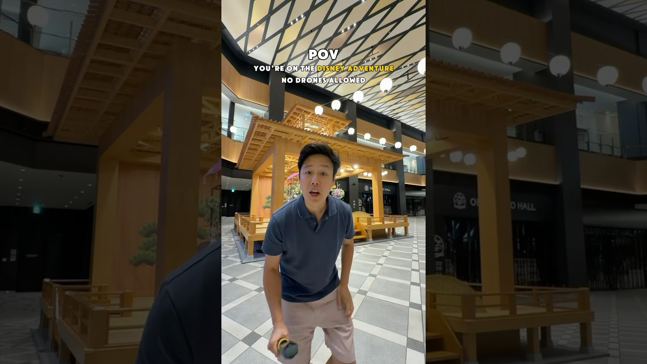 No drones on Disney Cruise?🚫 No problems 😎 #disneycruise #insta360