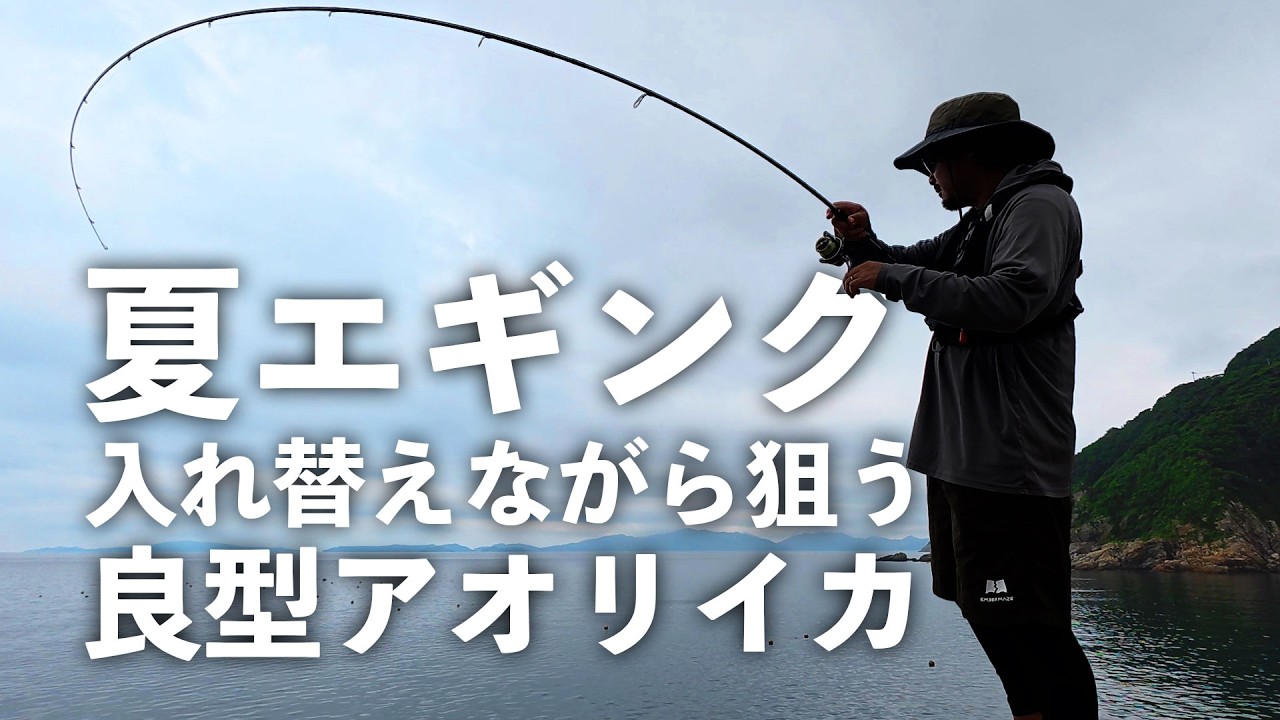 【エギング】夏の良型狙い【エンバーメイズ】