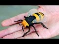 Gigantic wasp