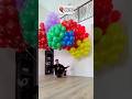 How Many Balloons To Make A Dog Fly рџЋ How Many Balloons To Make A Dog Fly рџЋ