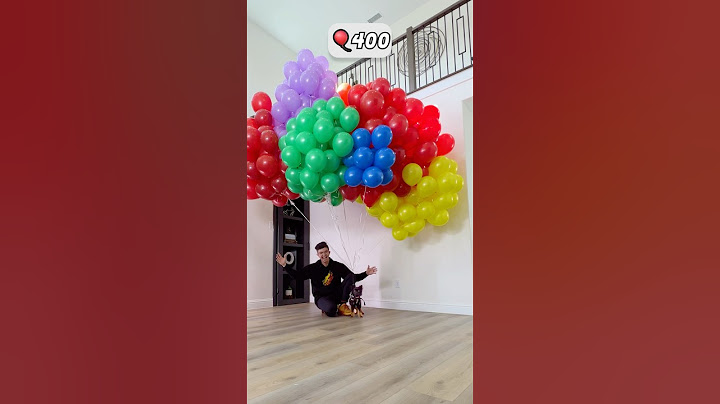 How Many Balloons to Make a Dog Fly? 🎈