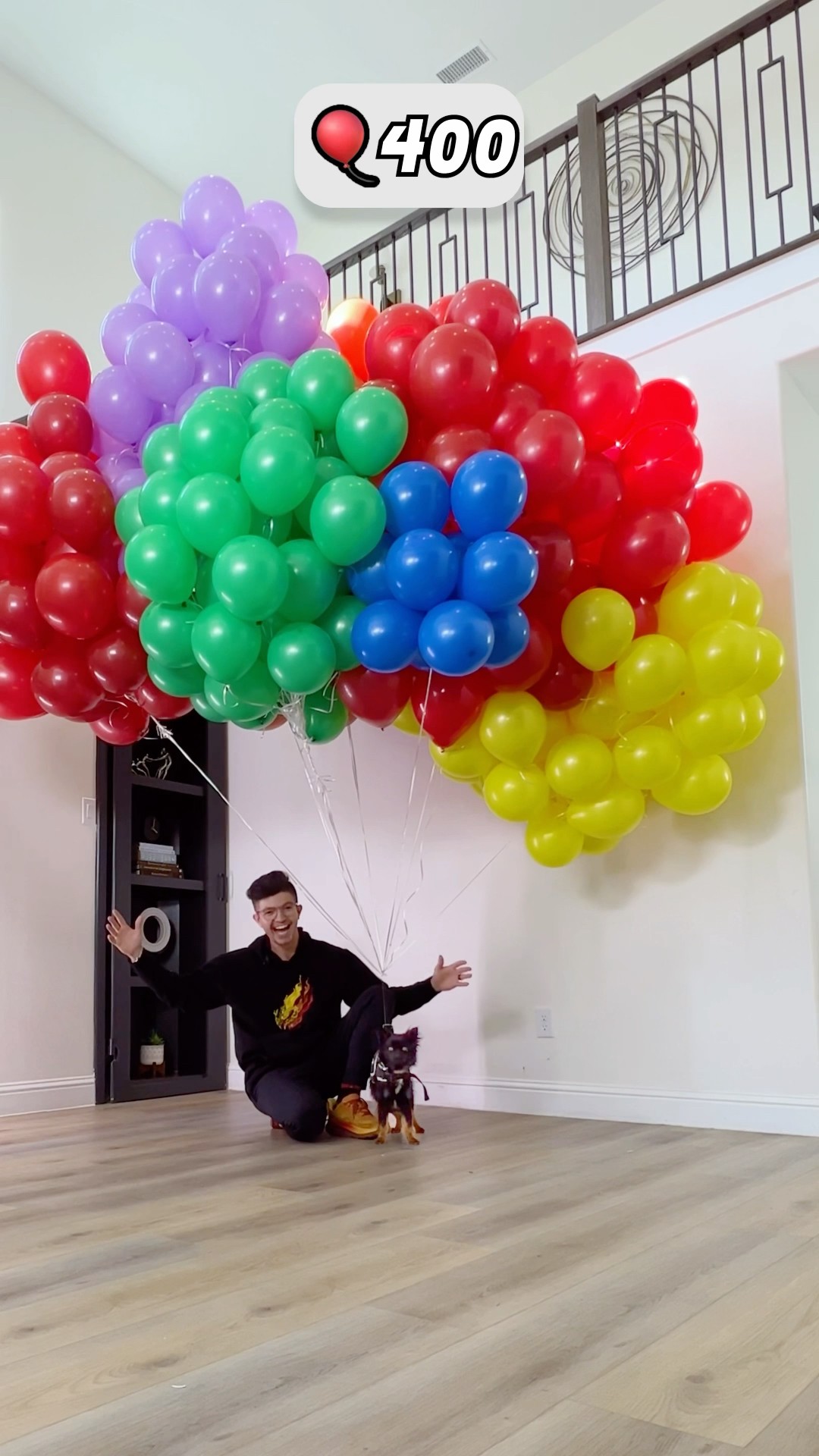 How Many Balloons to Make a Dog Fly? ?